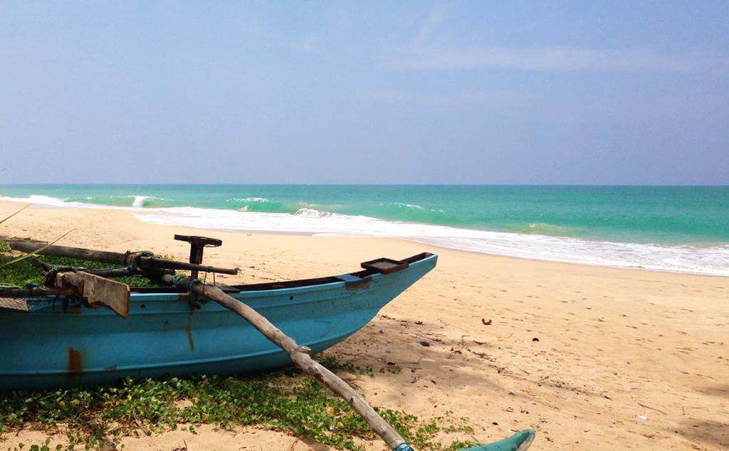 Greenparrot-Villa Ambalangoda  Rom bilde